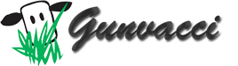 Logo Gunvacci