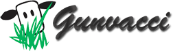 Logo Gunvacci